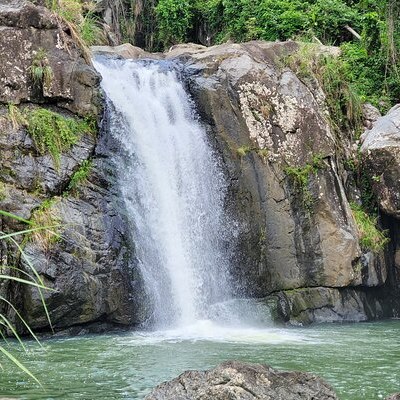  Rain Forest